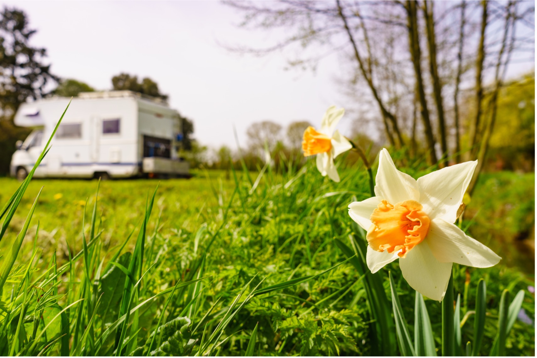 Spring into action:  Essential storage and travel tips for the season ahead